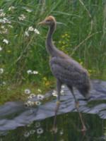 Yellow Green Blue on 3rd July 2012 Yellow Green Blue on 3rd July 2012